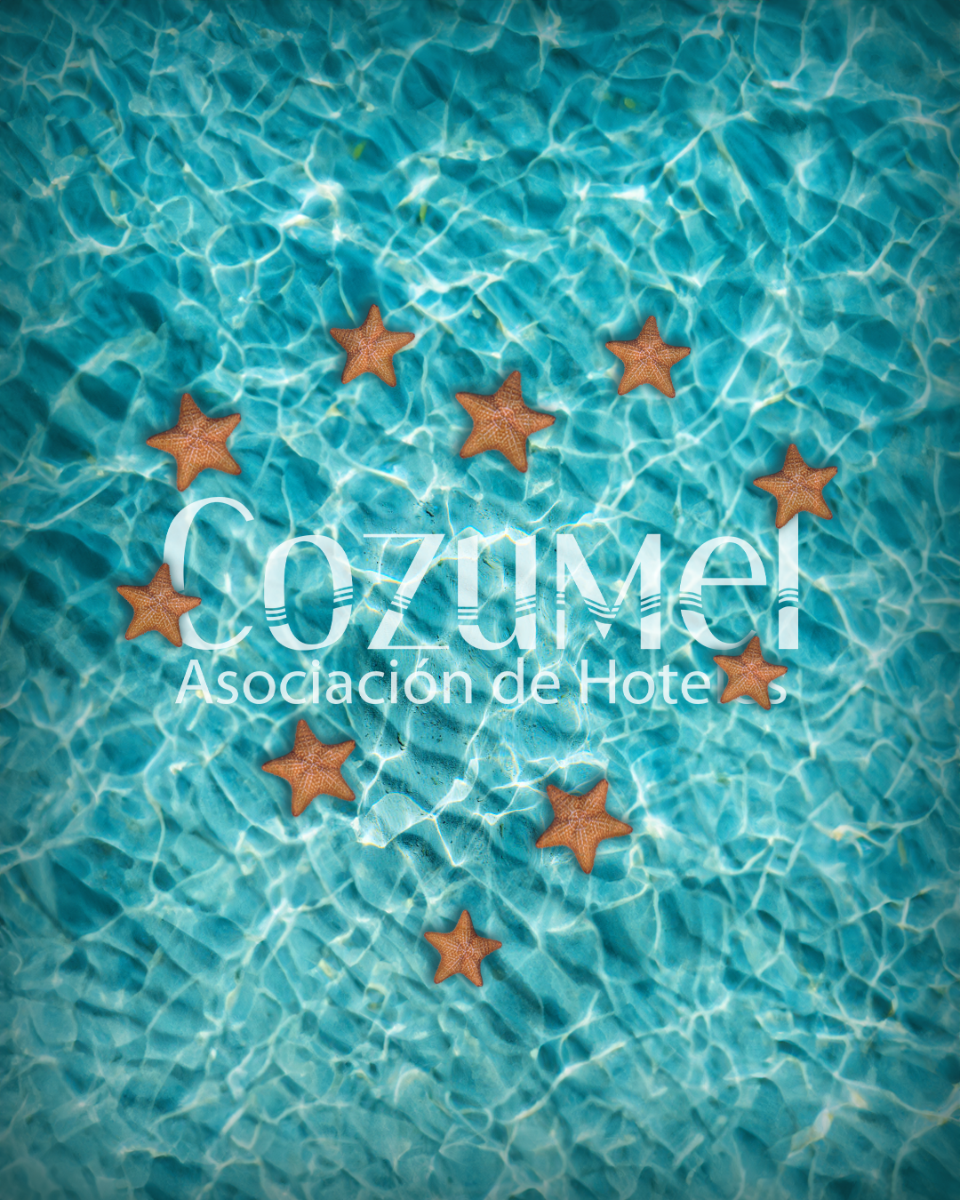 Proyecto Twinbox AHC FACE.webp